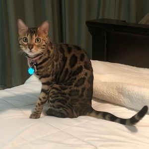 Meet your Posher, Esdaile